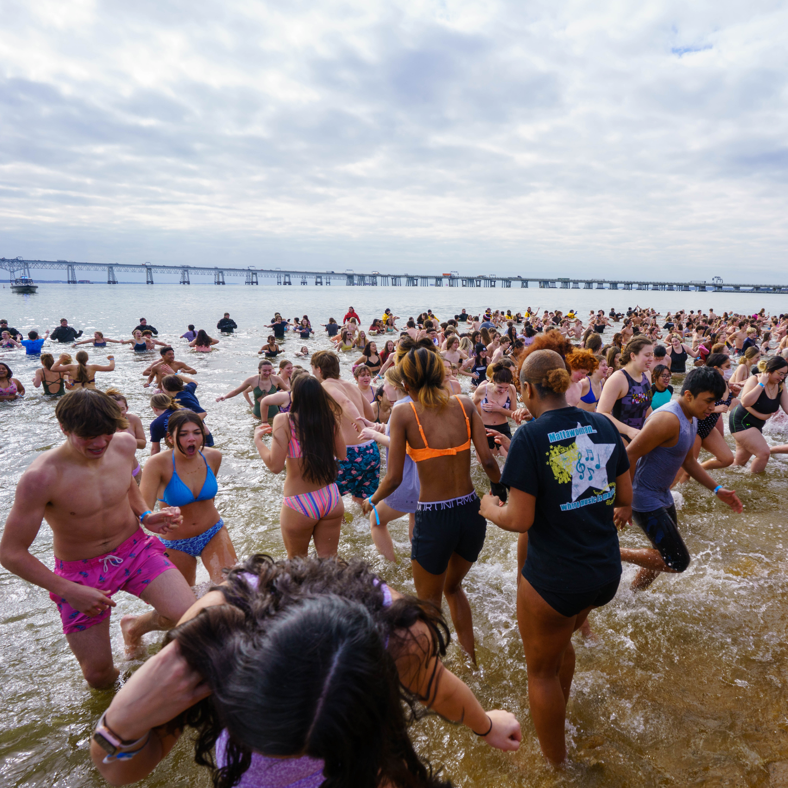 Polar Bear Plunge